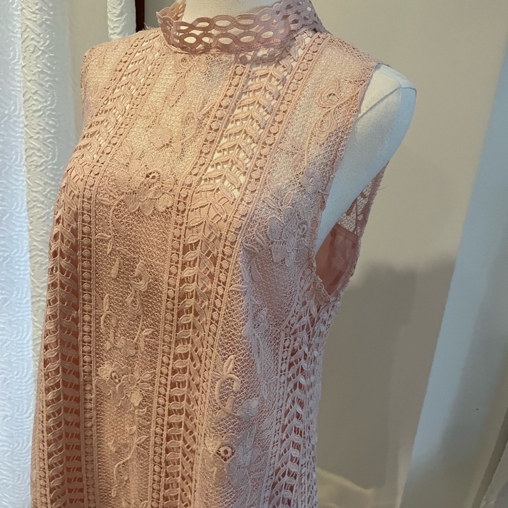 BB Dakota Sheri Pink Lace Sleeveless Dress NWT Medium - Picture 5 of 7